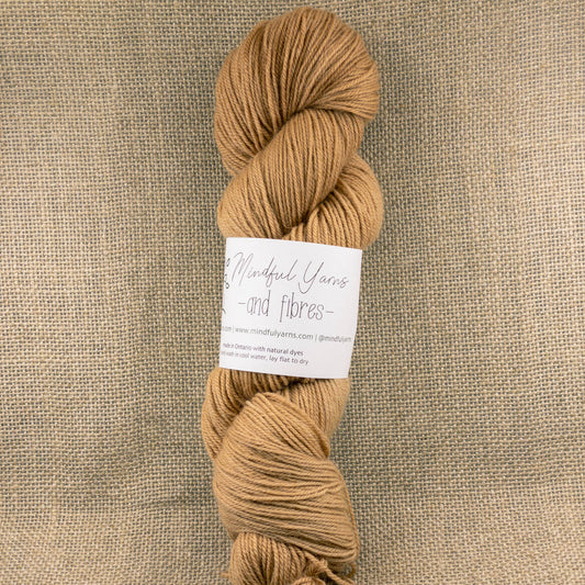 BFL Sock - Mindful Yarns - Cutch 50921