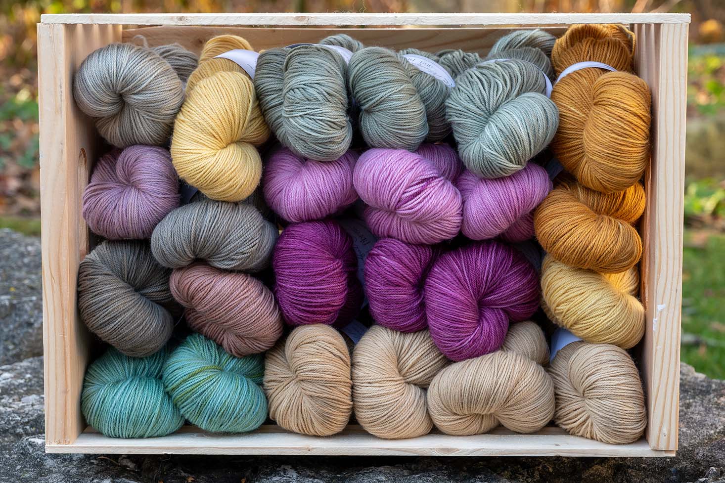 A collection of naturally dyed wool yarn in a wooden crate outside on a fall day in Ontario Canada