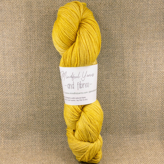 Lotus Merino Fingering Weight Yarn - Mindful Yarns - Fustic 50728