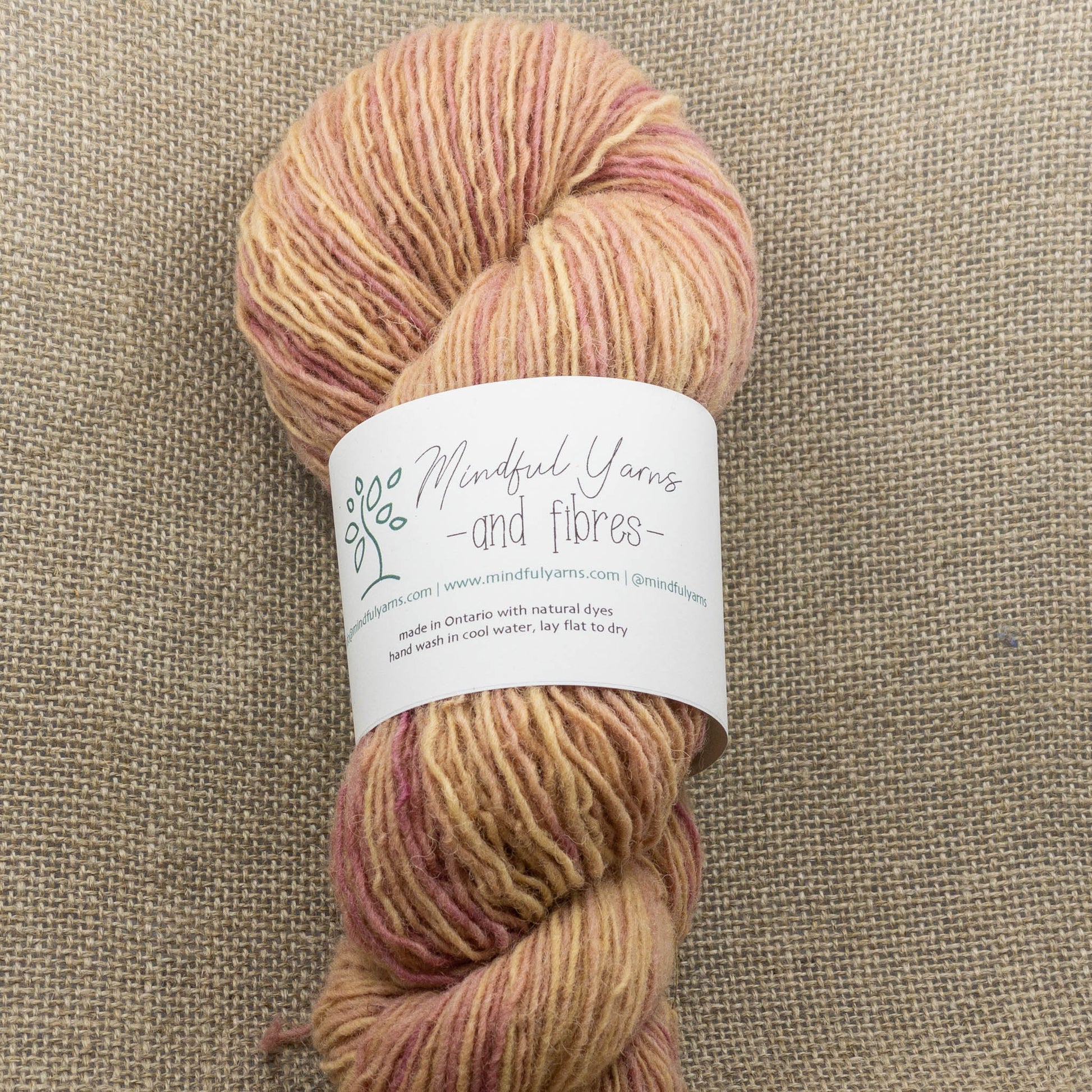 Ontario Single Fingering Weight Wool - Mindful Yarns - Quebracho + cochineal 0410