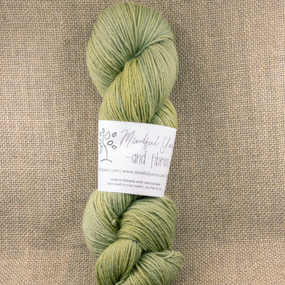 BFL Sock - Mindful Yarns - Osage + Saxon 50919