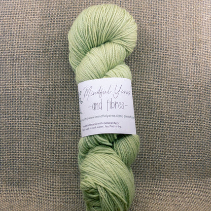 Organic Superwash Sock Yarn - Mindful Yarns - Himalayan Rhubarb + Saxon 50310