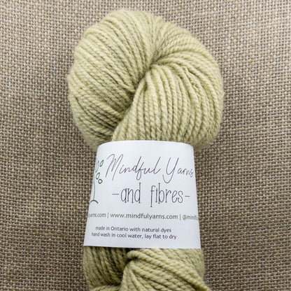 Ontario Dorset Wool - worsted weight - Mindful Yarns - Mint