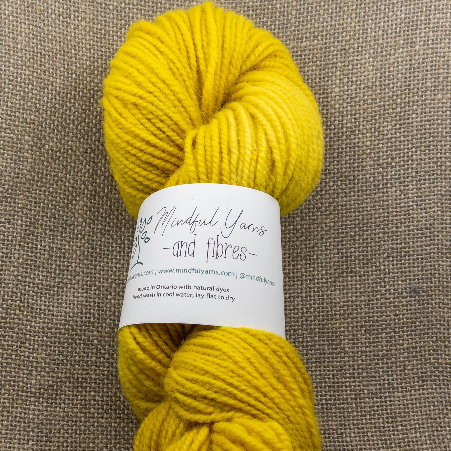 Ontario Dorset Wool - worsted weight - Mindful Yarns - Marigold X-0410
