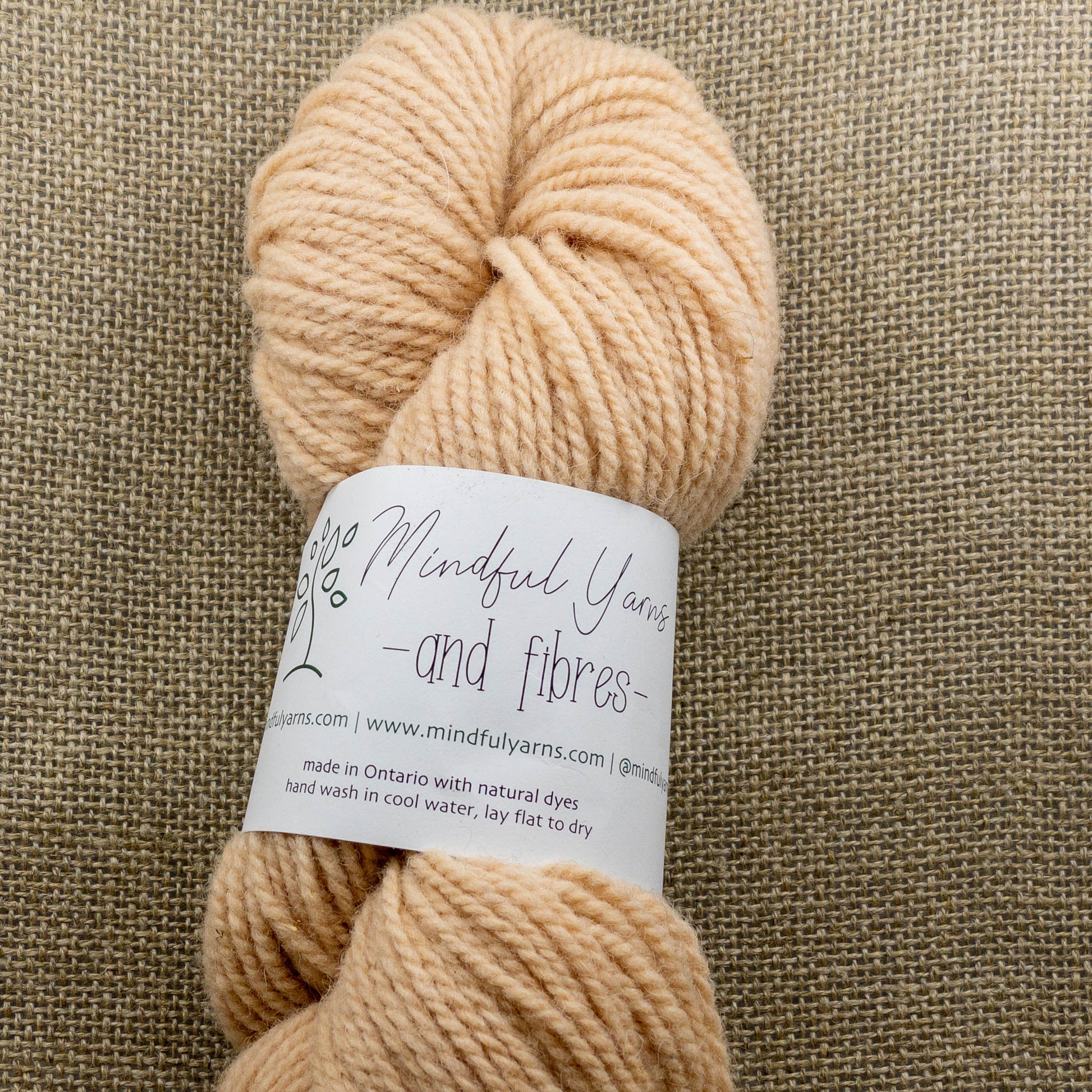 Ontario Dorset Wool - worsted weight - Mindful Yarns - Avocado