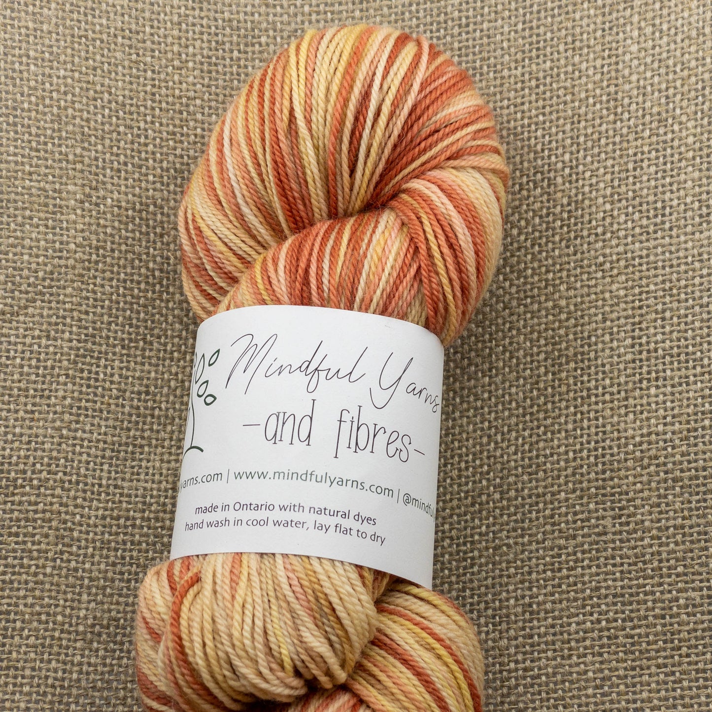 Organic Superwash Sock Yarn - Mindful Yarns - Flowers in the desert